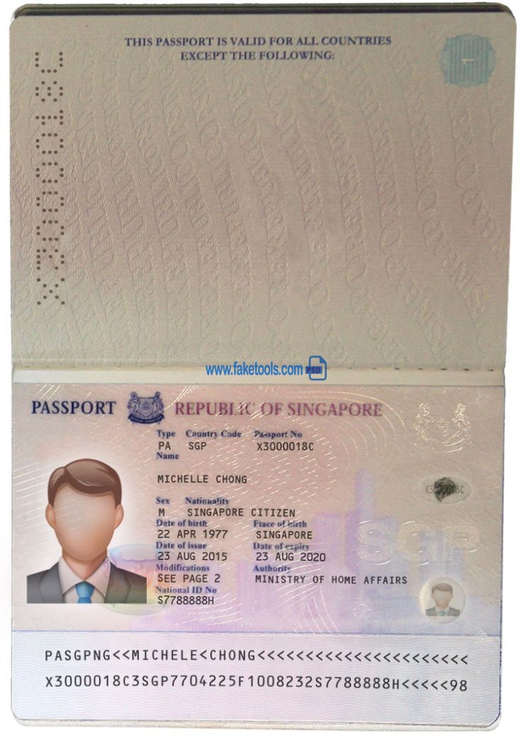 Editable blank Idaho driver license template psd pdf download