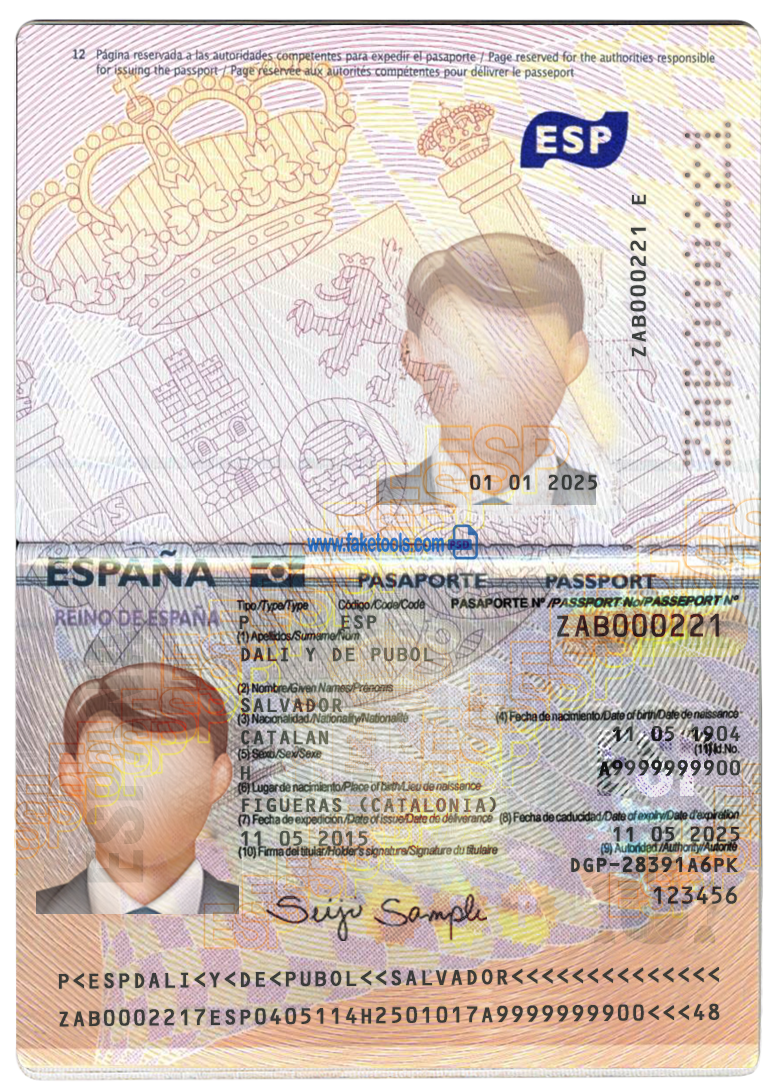 Editable blank Indiana driver license template psd pdf download