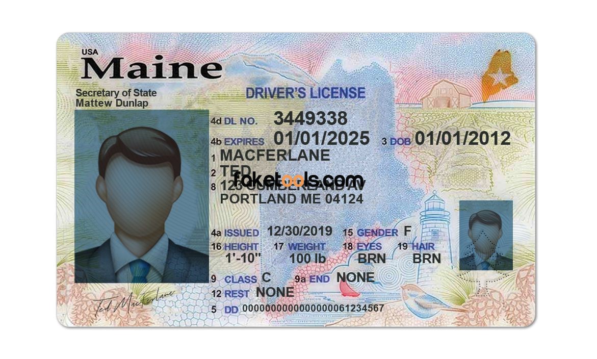 Editable blank Maine driver license template psd pdf download