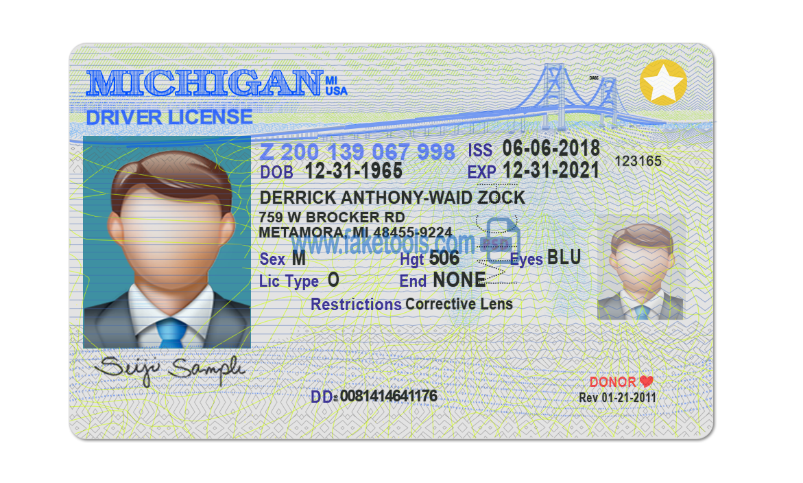 Editable blank Michigan driver license template psd pdf download