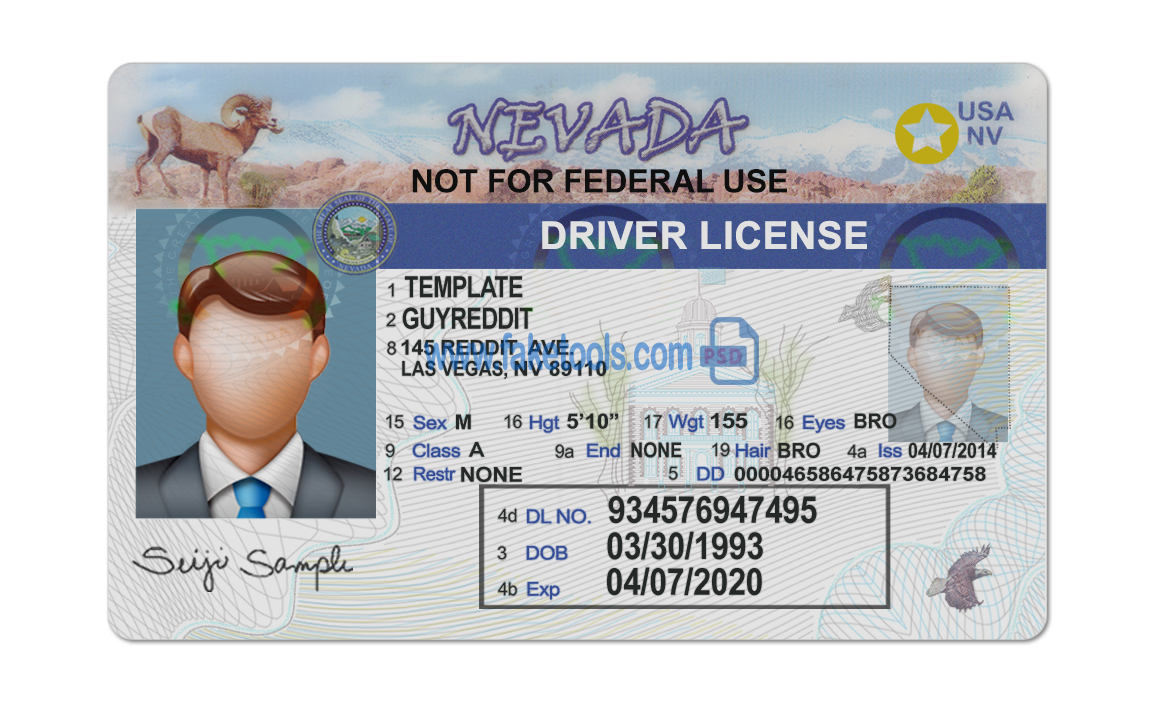 Editable blank Nevada driver license template psd pdf download