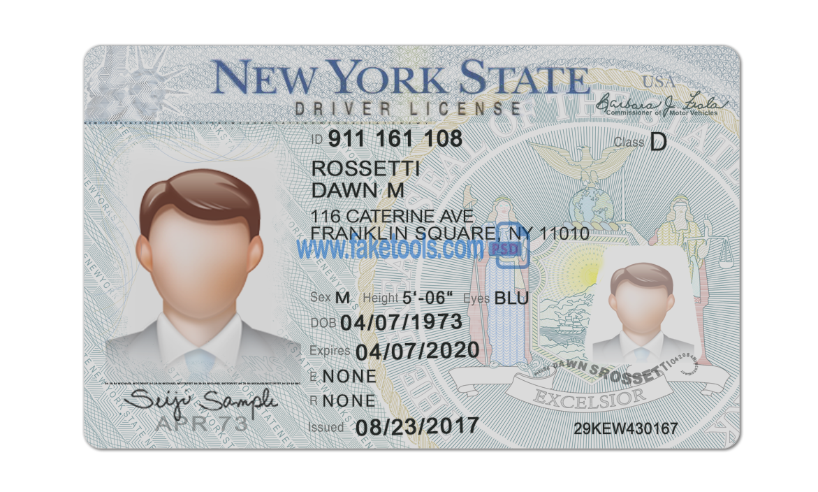 Editable blank New York driver license template psd pdf download