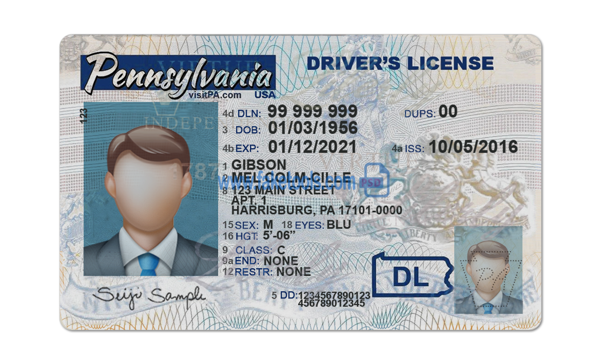 Editable blank Pennsylvania driver license template psd pdf download
