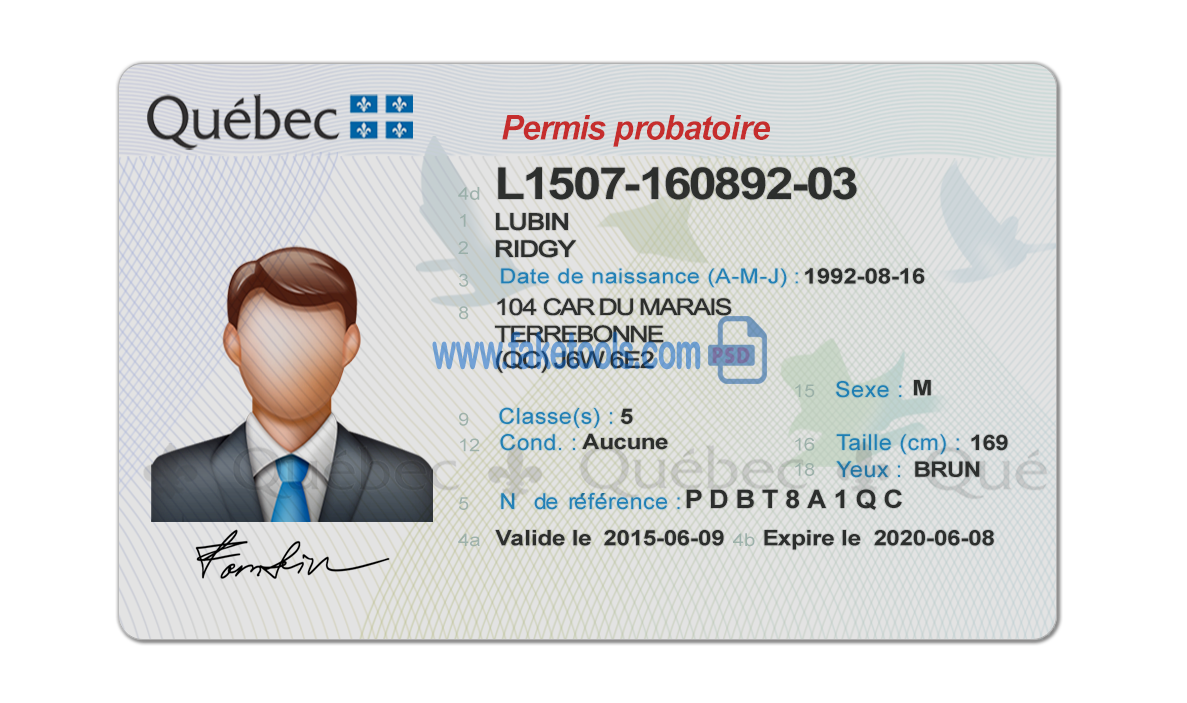 Editable blank Quebec driver license template psd pdf download