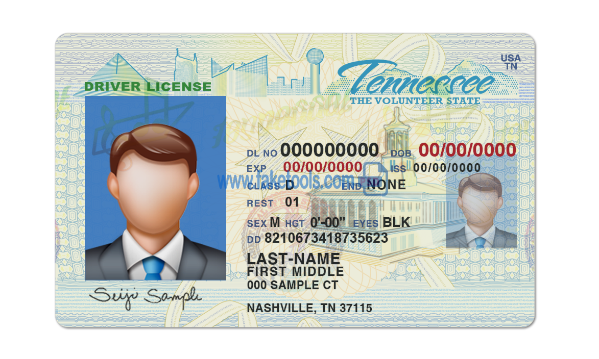 Editable blank Tennessee driver license template psd pdf download