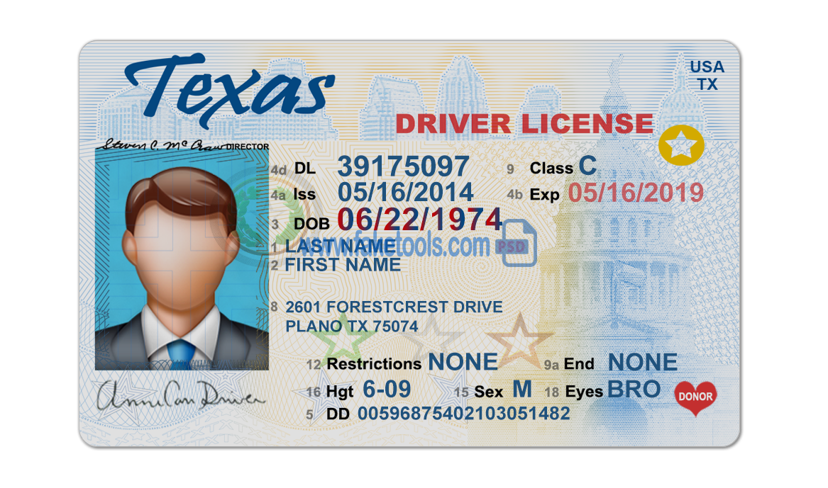 Editable blank Texas driver license template psd pdf download