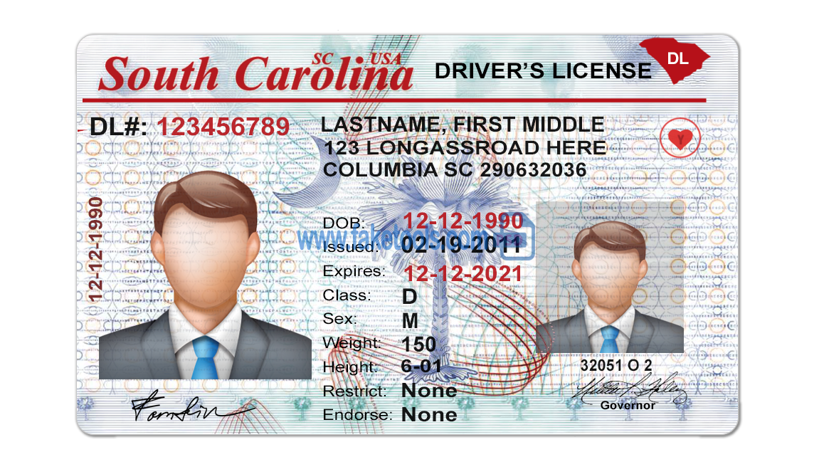 Editable blank South Carolina driver license template psd pdf download