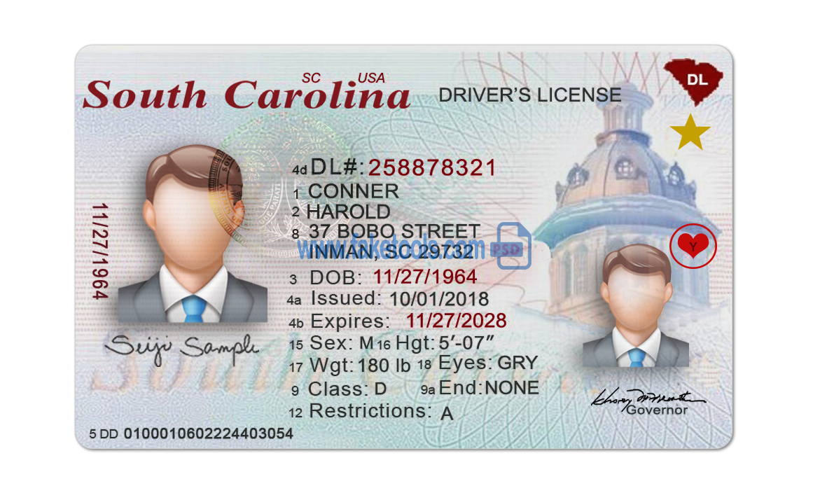 Editable blank South Carolina driver license template psd pdf download